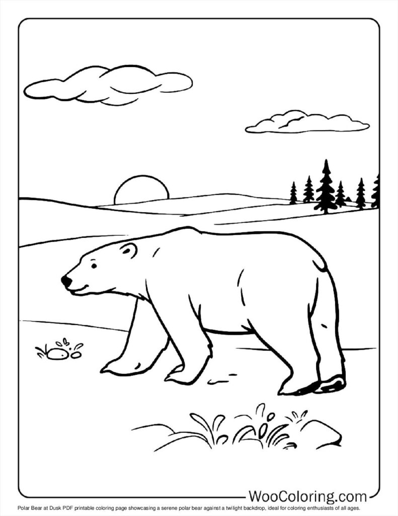 100  Polar Bear coloring pages  Free PDF To Print  - 68