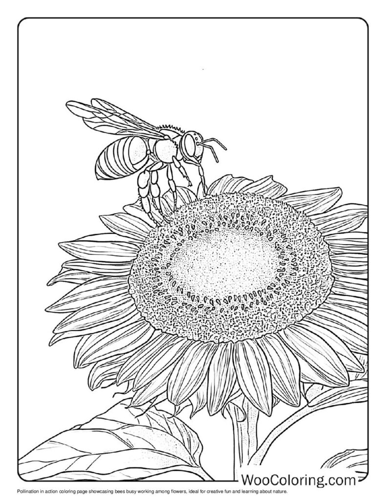 Pollination in Action Coloring Sheet