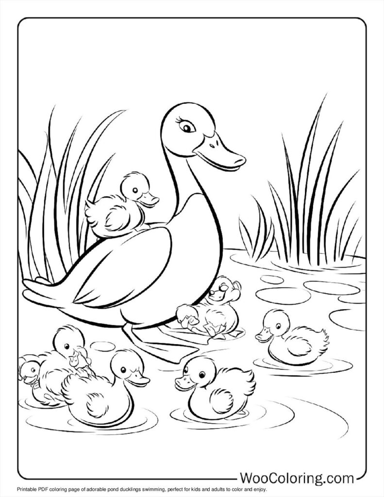 100  Duck coloring pages  Free PDF To Print  - 73