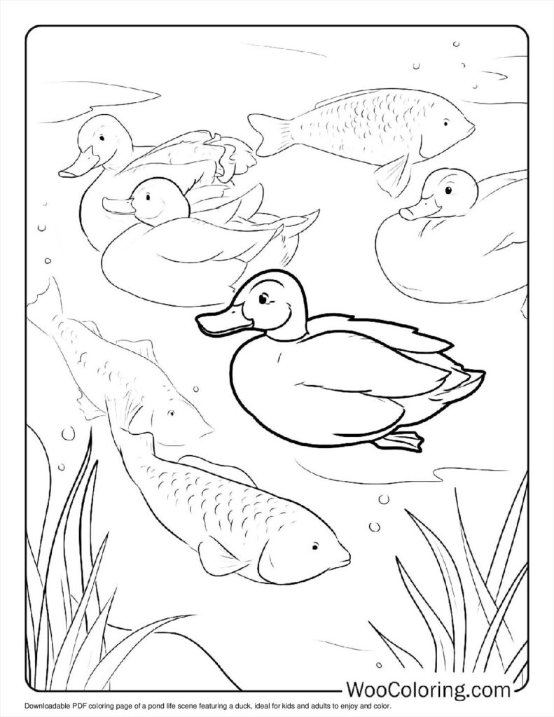 100  Duck coloring pages  Free PDF To Print  - 90