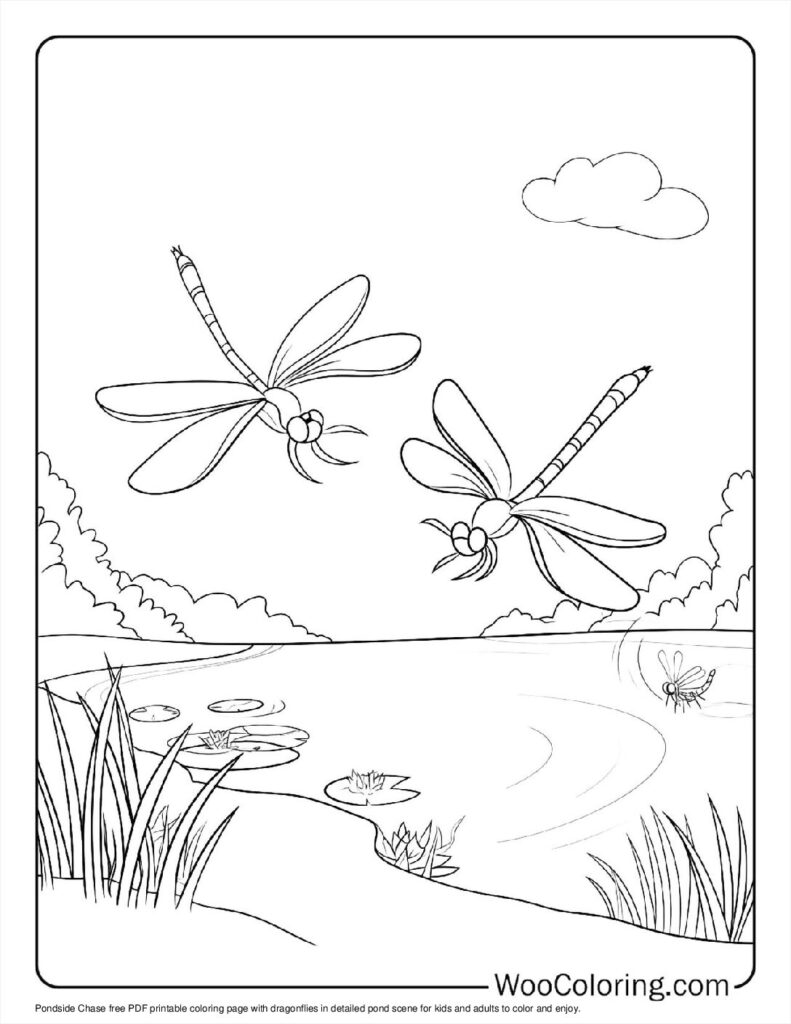 100  Dragonfly coloring pages  Free PDF To Print  - 48