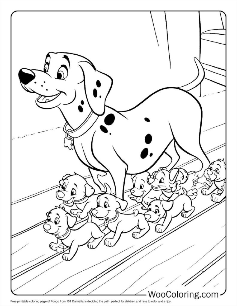 Pongo Decides the Path To Color