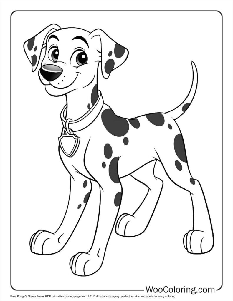 Pongo's Steely Focus