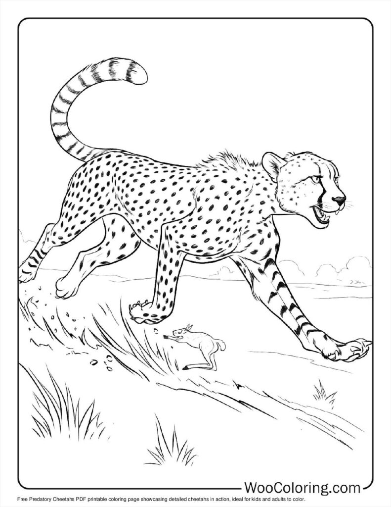 100  Cheetah coloring pages  Free PDF To Print  - 49