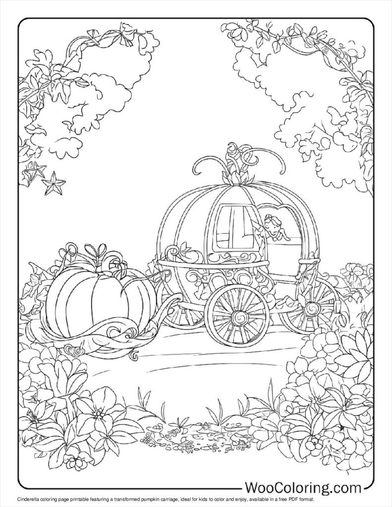 Pumpkin Transformed