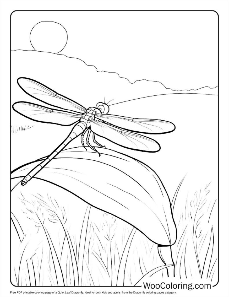 100  Dragonfly coloring pages  Free PDF To Print  - 42
