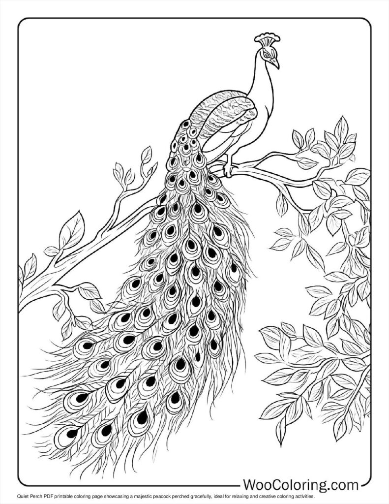100  Peacock coloring pages  Free PDF To Print  - 41