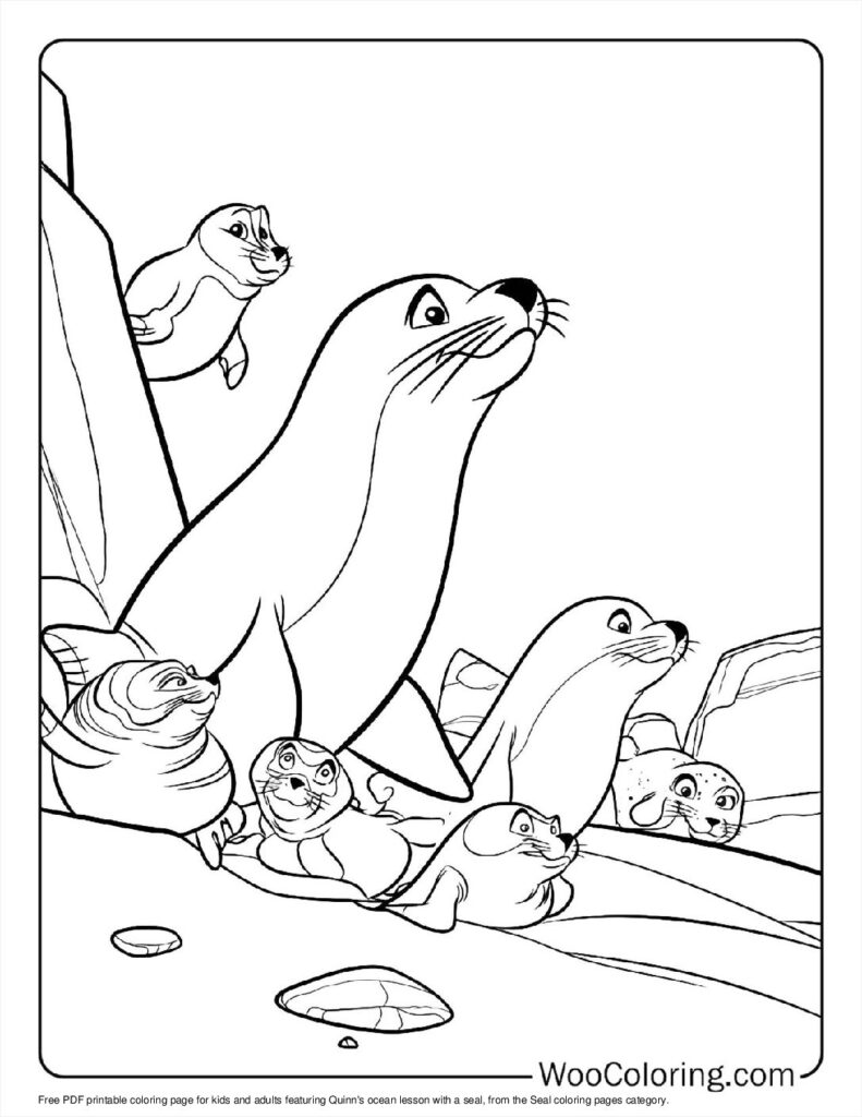 100  Seal coloring pages  Free PDF To Print  - 77