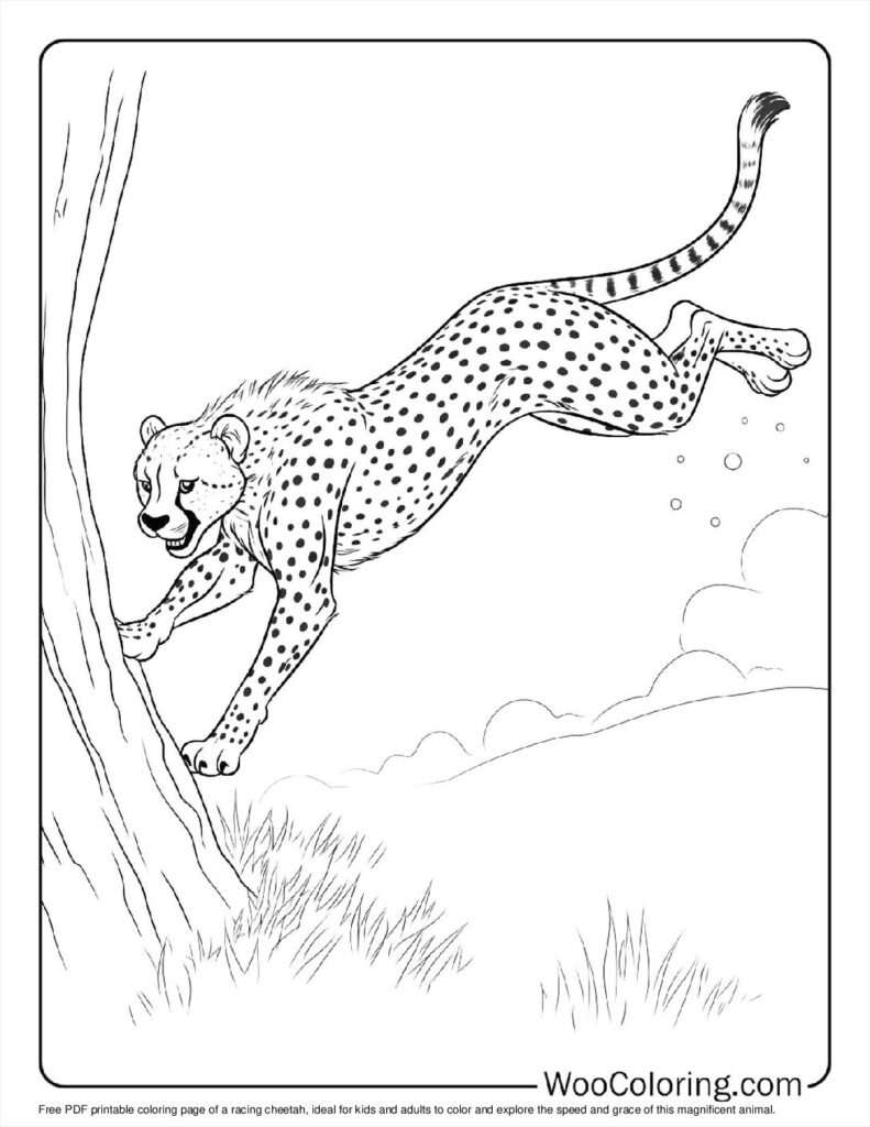 100  Cheetah coloring pages  Free PDF To Print  - 32