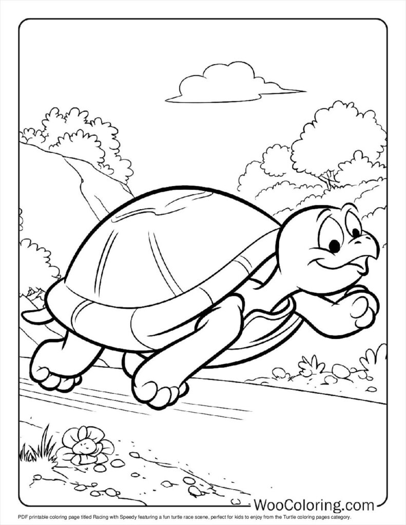 100  Turtle coloring pages  Free PDF To Print  - 14