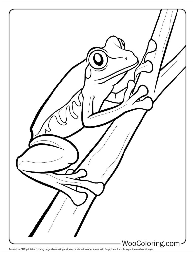 100  Frog coloring pages  Free PDF To Print  - 16