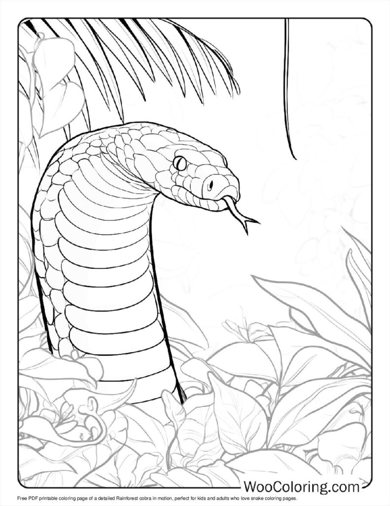 Rainforest cobra moving