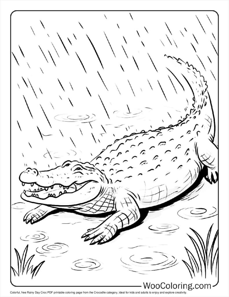 Rainy Day Croc