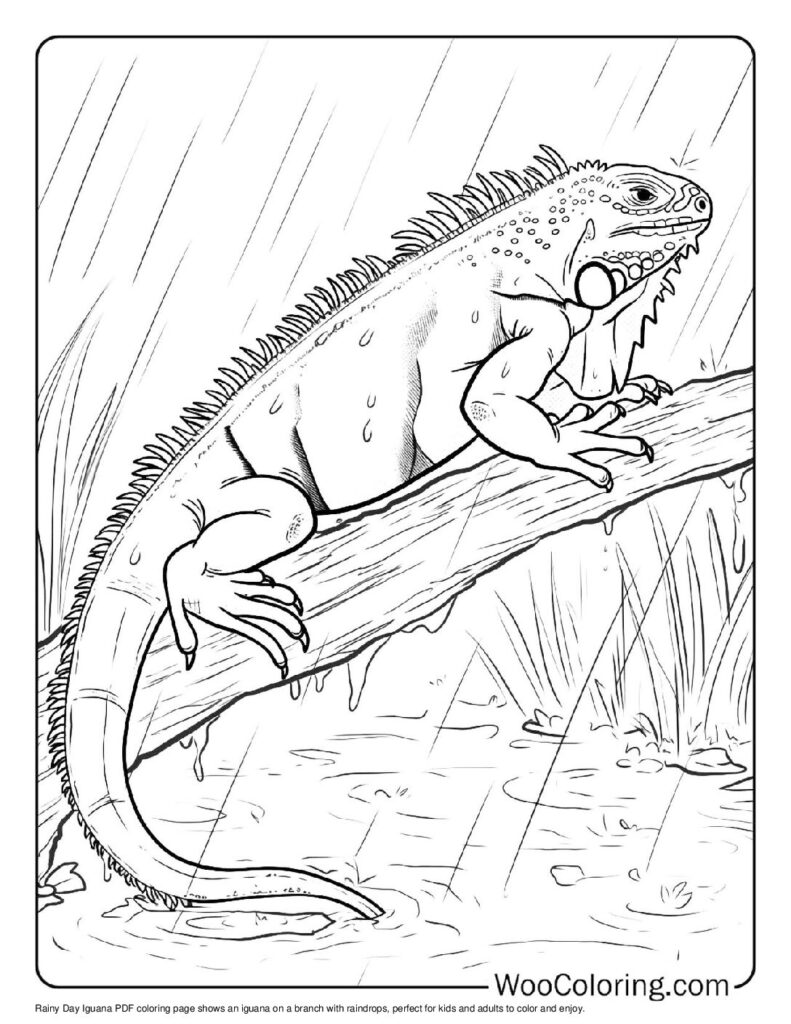 100 Iguana coloring pages Free PDF To Print - 35