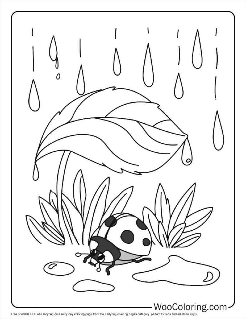 100  Ladybug coloring pages  Free PDF To Print  - 17