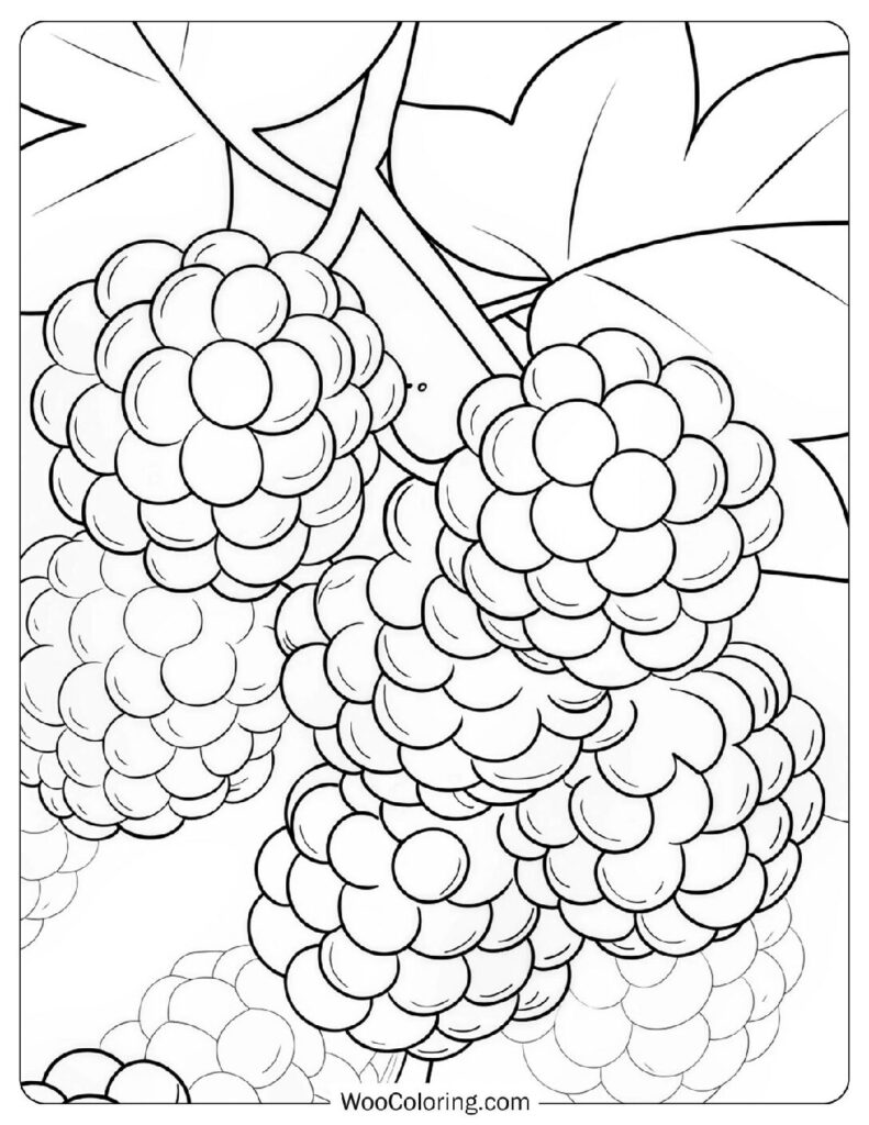 34 Fruit Coloring Pages  Free PDF To Print  - 2