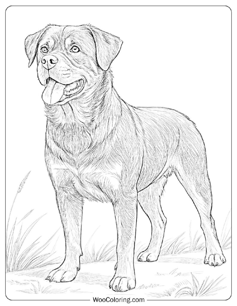 Smiling Rottweiler with a Friendly Expression Sitting on the Porch of a Country Home