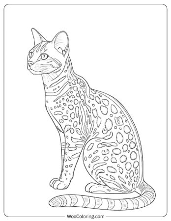 Realistic Bengal with Detailed Spots Coloring Page