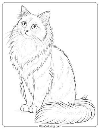 Realistic Fluffy Ragdoll Drawing Coloring Page