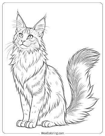 Realistic Maine Coon Outline Coloring Page