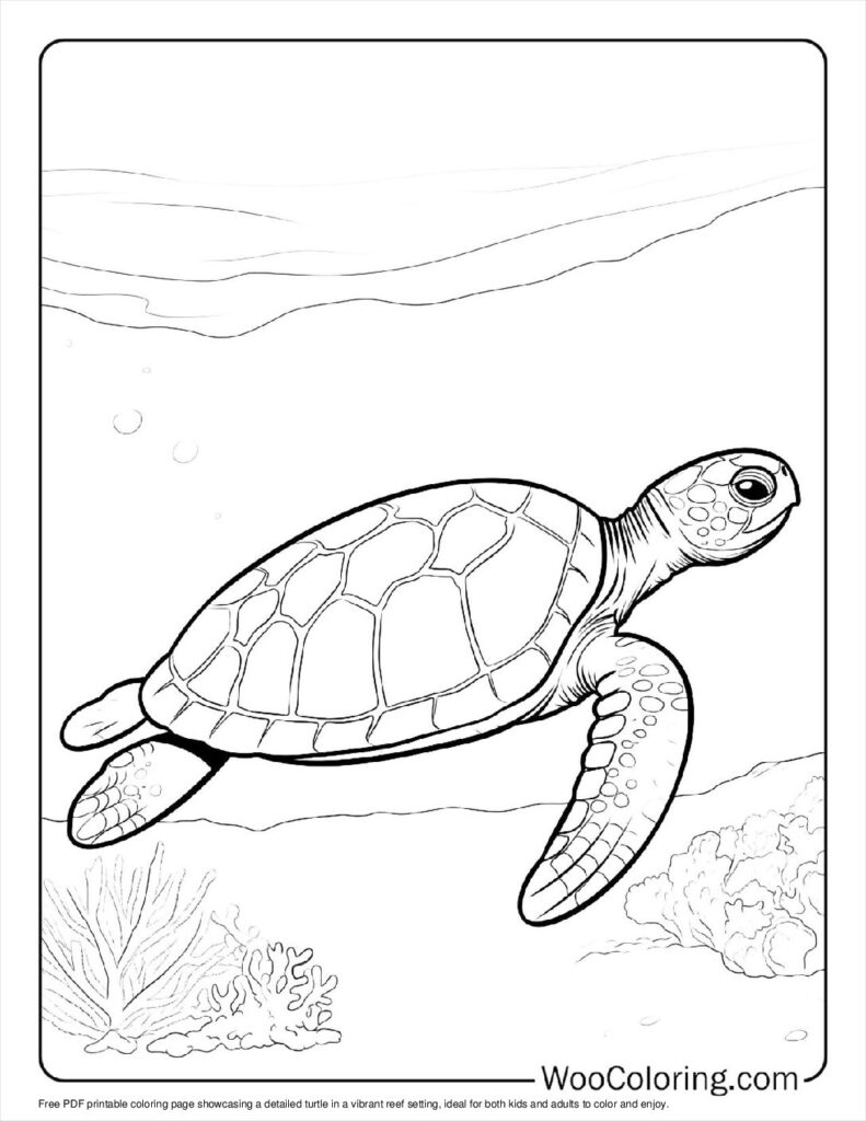 100  Turtle coloring pages  Free PDF To Print  - 90