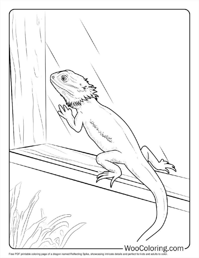 Reflecting Spike