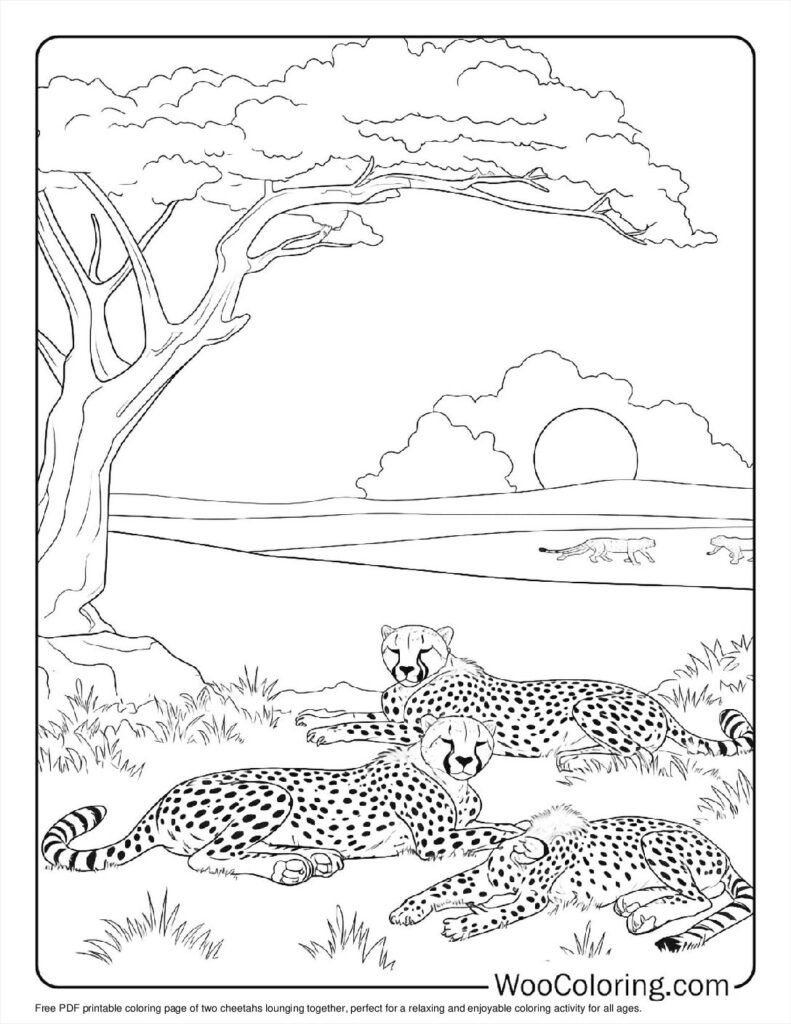 100  Cheetah coloring pages  Free PDF To Print  - 14