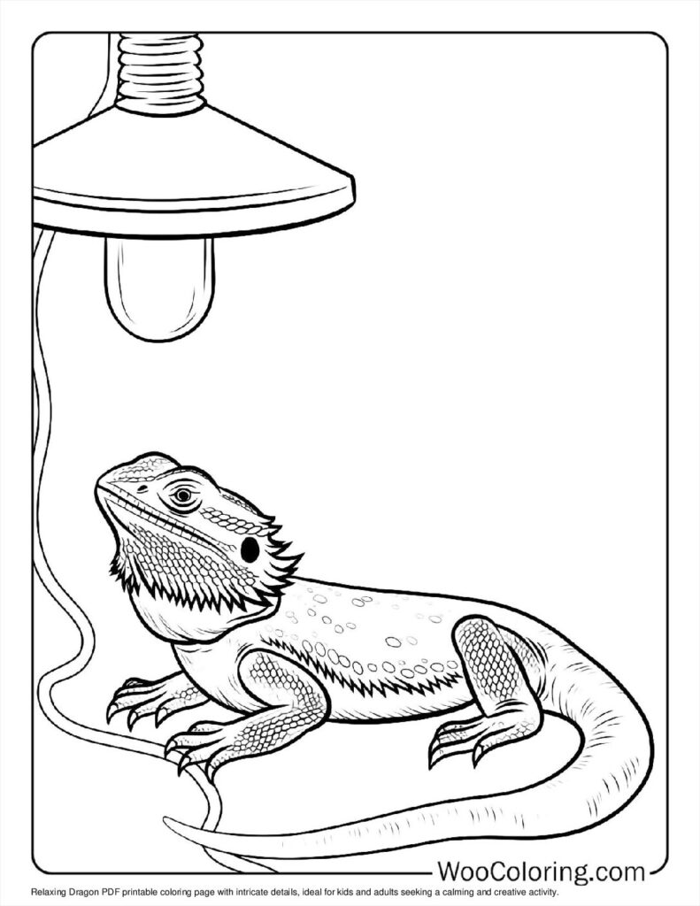 Relaxing Dragon Coloring Page