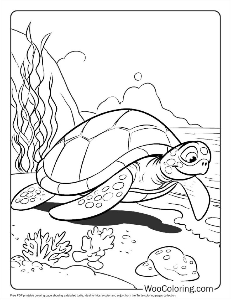 100  Turtle coloring pages  Free PDF To Print  - 78
