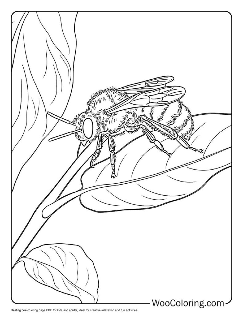 Resting Bee