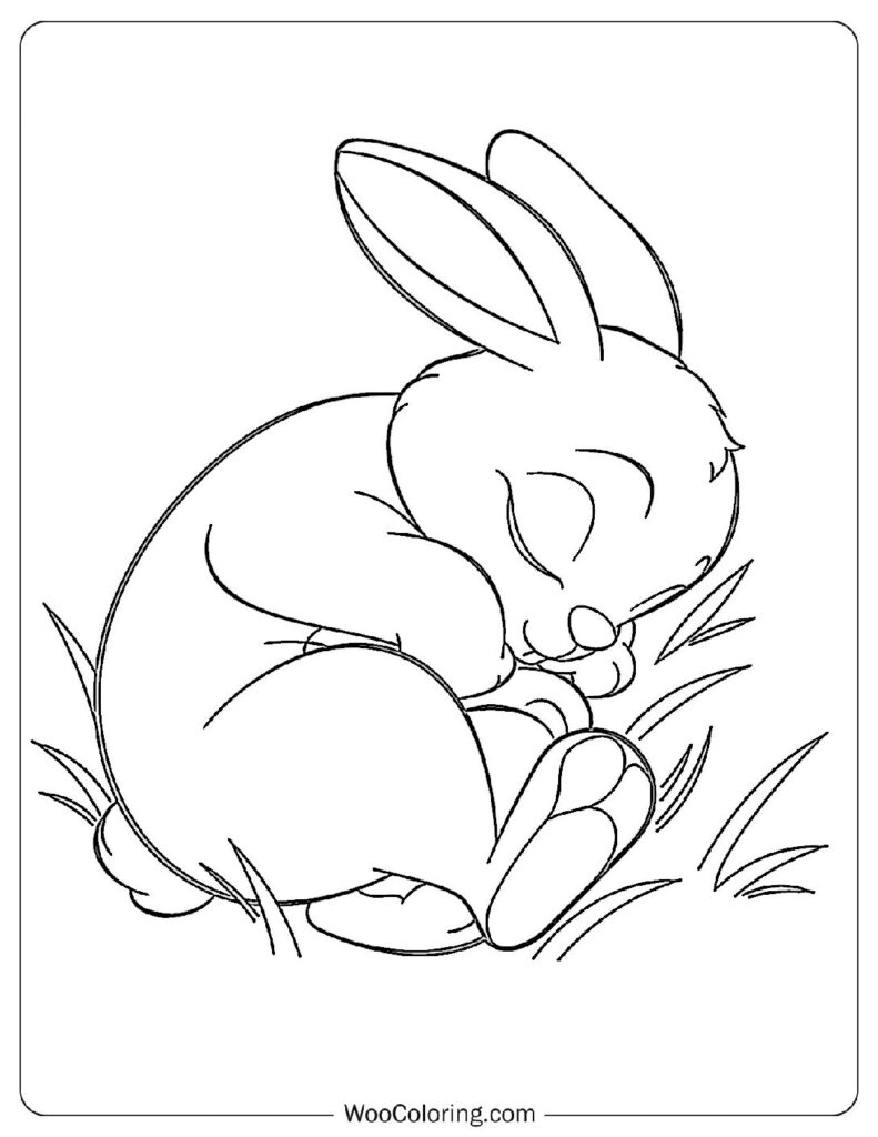 Resting Rabbit For Kids