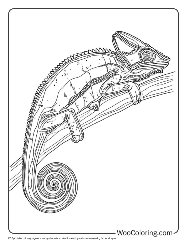 100  Chameleon coloring pages  Free PDF To Print  - 96