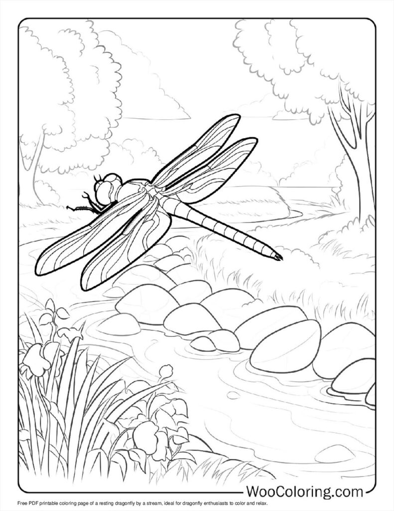 100  Dragonfly coloring pages  Free PDF To Print  - 87