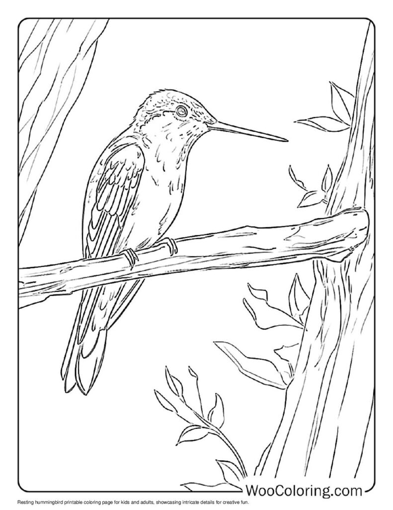 100 Hummingbird coloring pages Free PDF To Print - 69