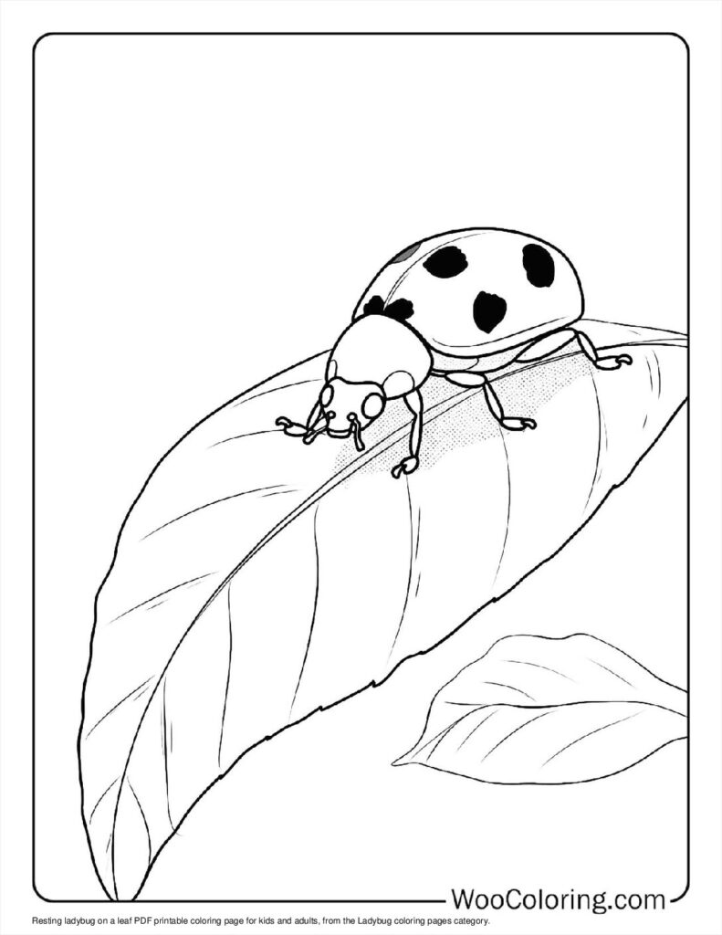 100  Ladybug coloring pages  Free PDF To Print  - 45