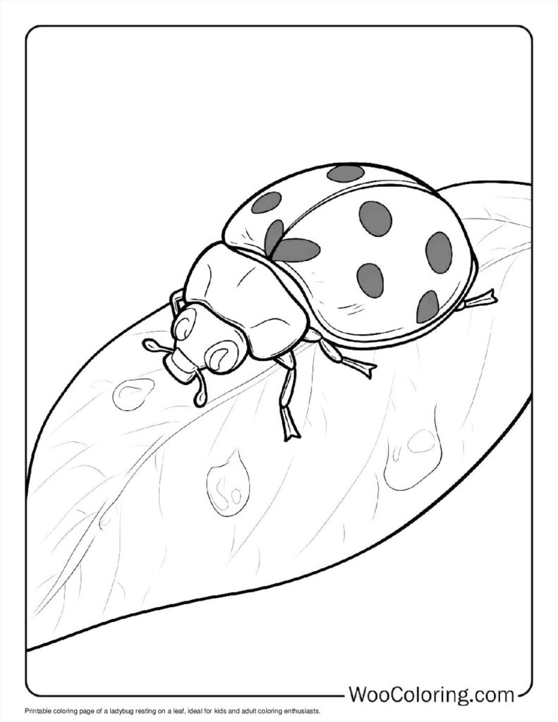 100  Ladybug coloring pages  Free PDF To Print  - 72
