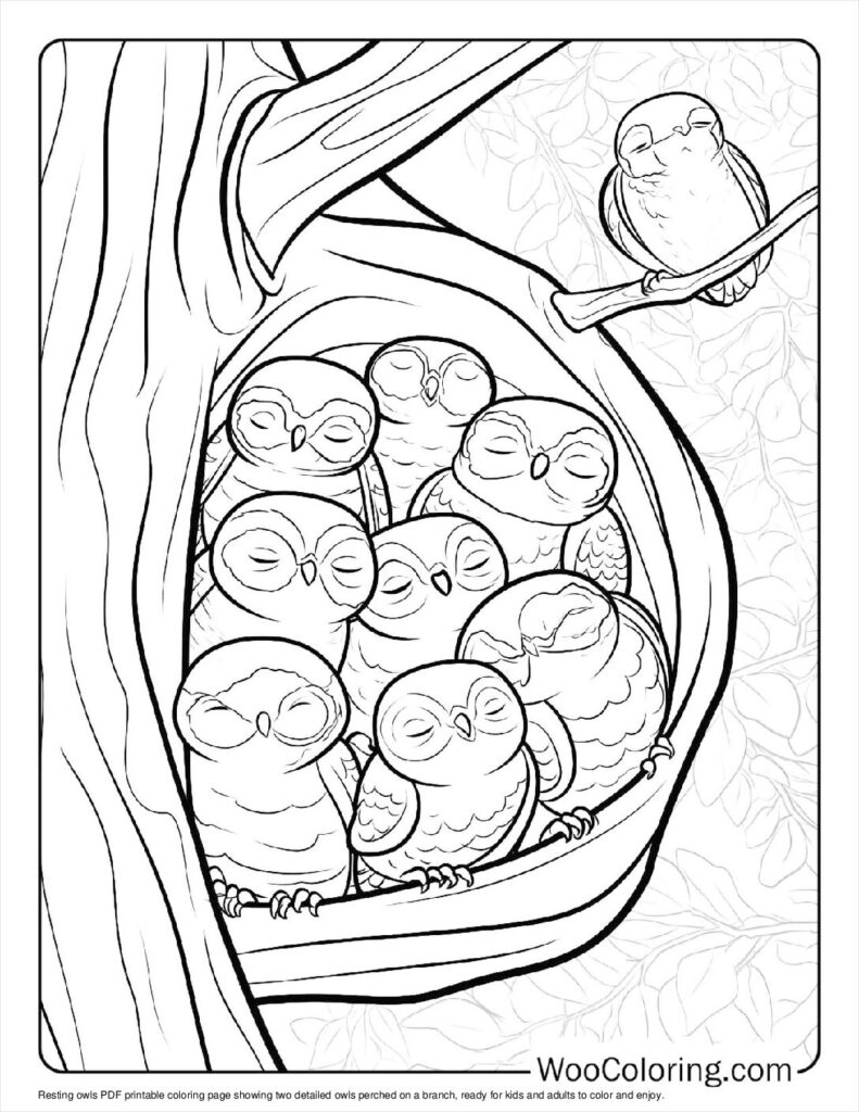 100  Owl coloring pages  Free PDF To Print  - 95