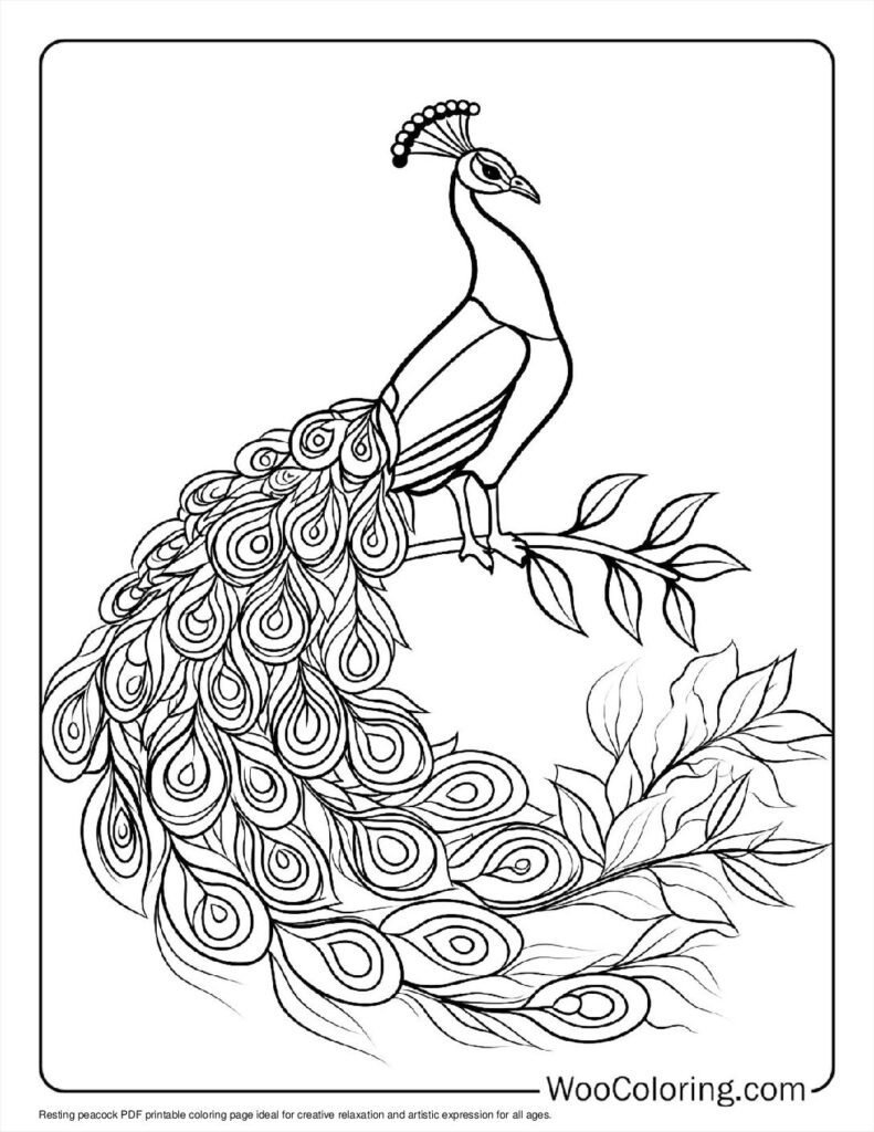 100  Peacock coloring pages  Free PDF To Print  - 27