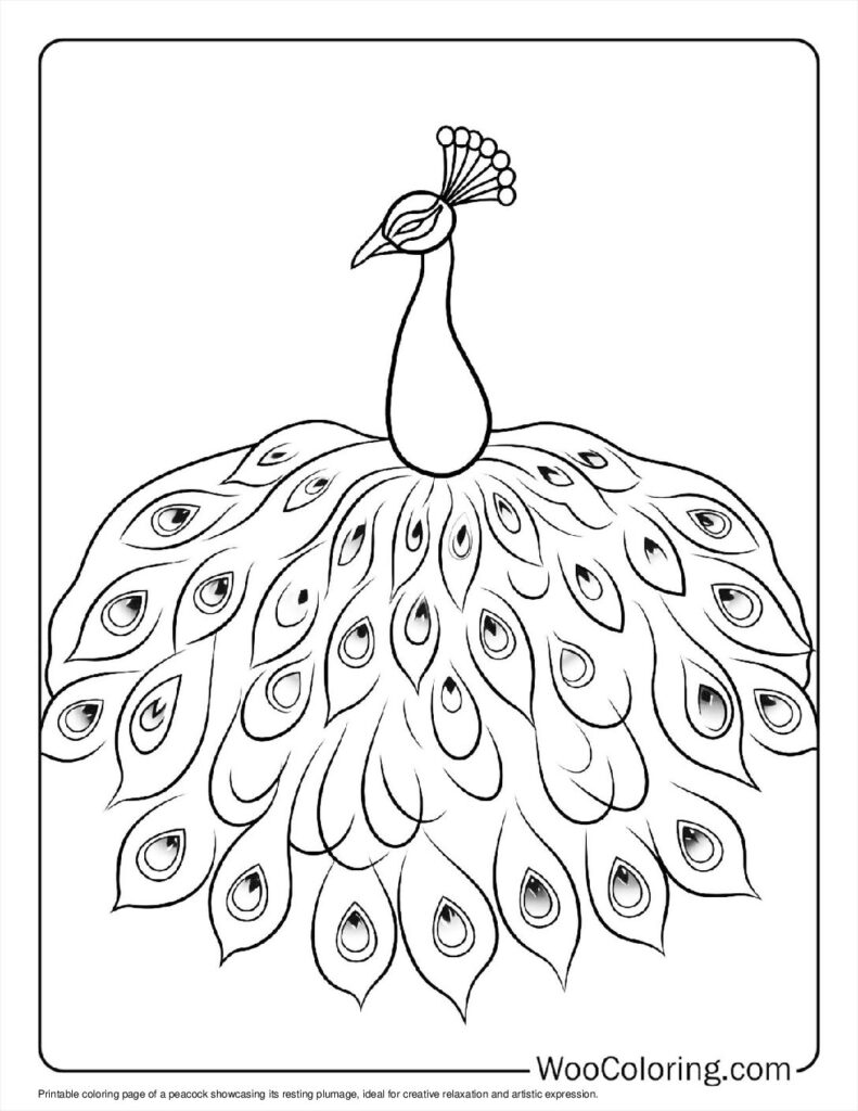 100  Peacock coloring pages  Free PDF To Print  - 61