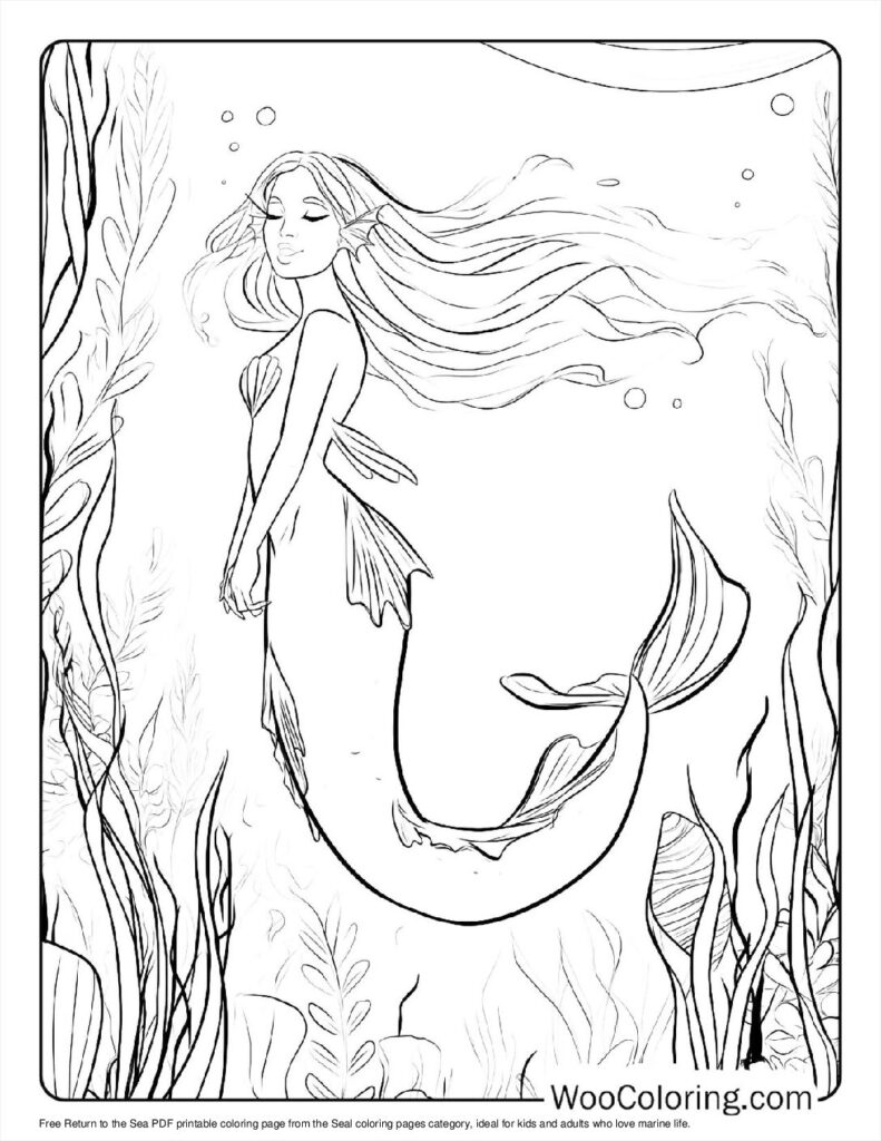 100  Seal coloring pages  Free PDF To Print  - 50