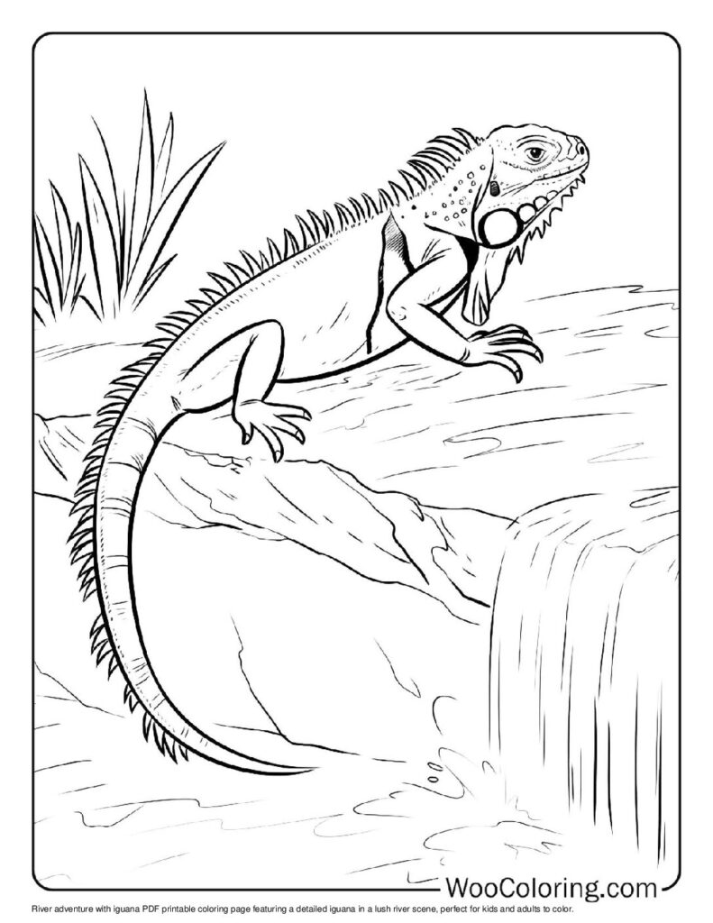 100 Iguana coloring pages Free PDF To Print - 16