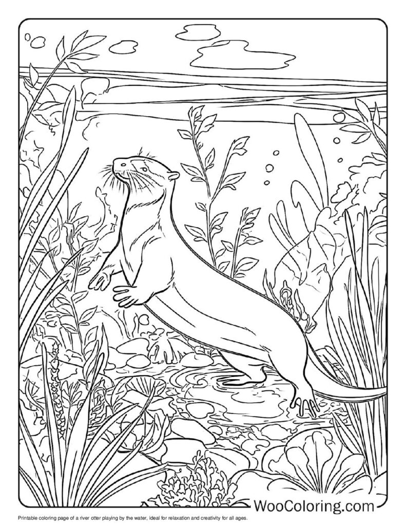 100  Otter coloring pages  Free PDF To Print  - 46