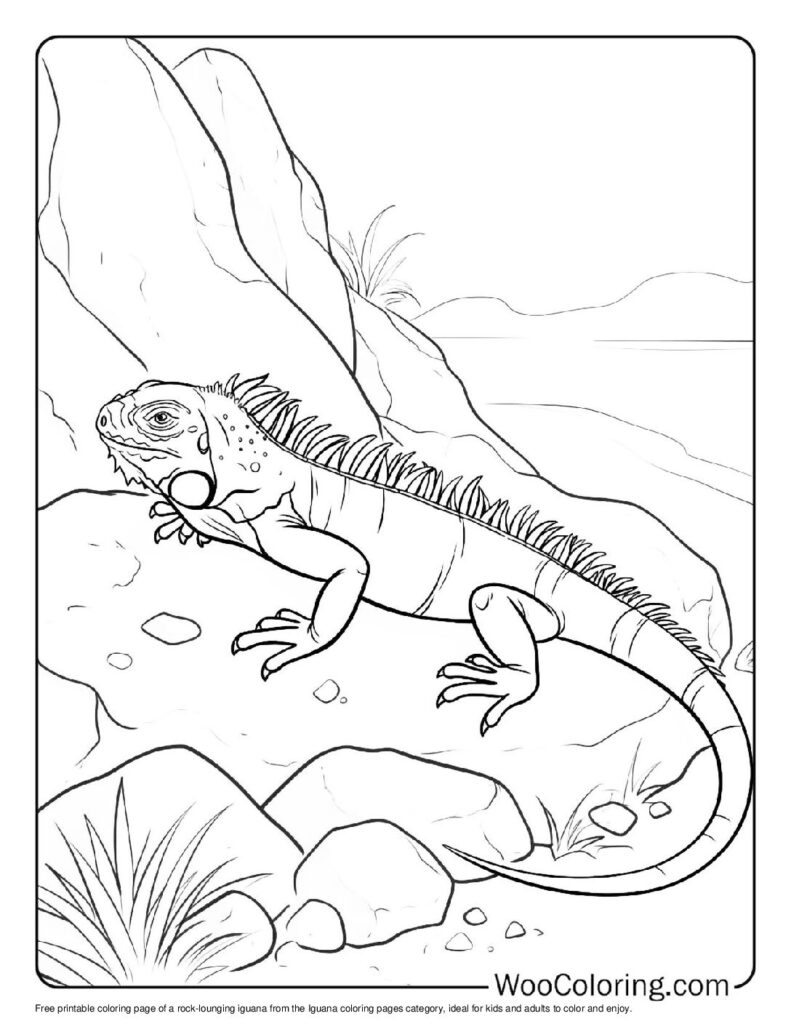 100 Iguana coloring pages Free PDF To Print - 8