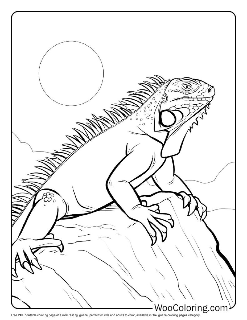 100 Iguana coloring pages Free PDF To Print - 67