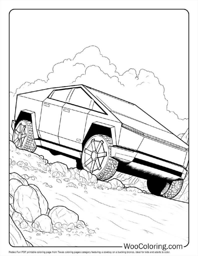 Rocky Path Tesla