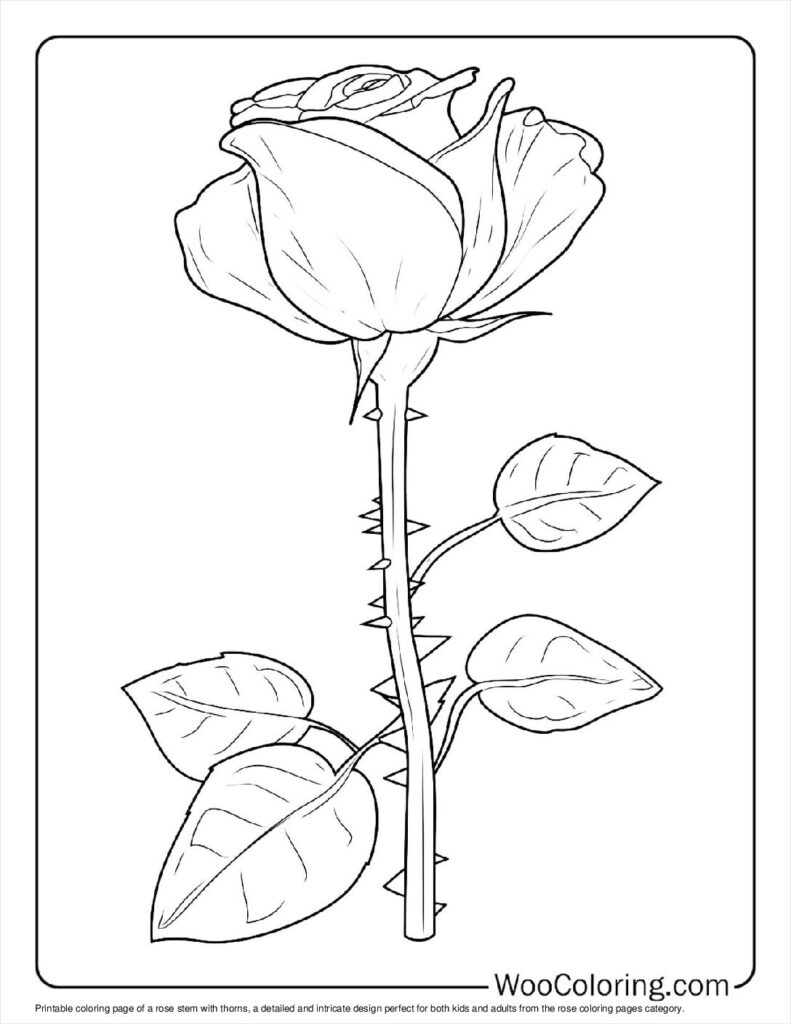 100+ Rose coloring pages (Free PDF To Print) | Woo Coloring