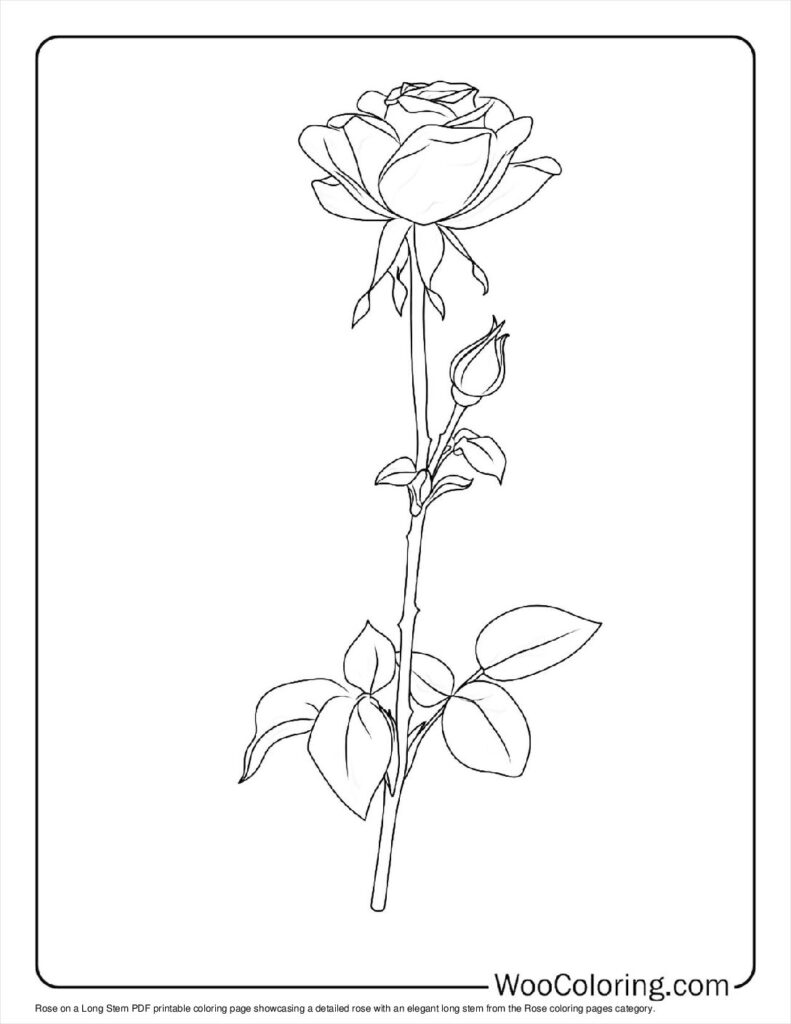100  Rose coloring pages  Free PDF To Print  - 1