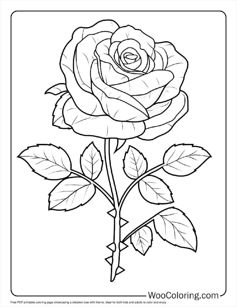 100  Rose coloring pages  Free PDF To Print  - 81