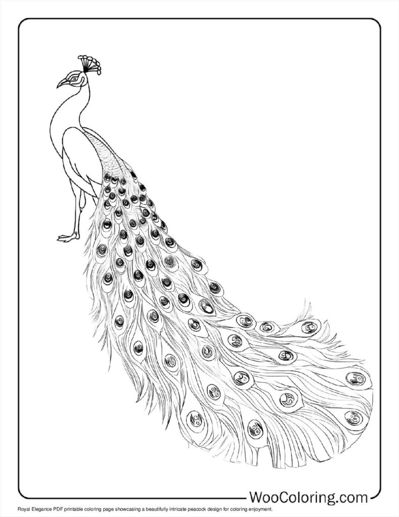 100  Peacock coloring pages  Free PDF To Print  - 85