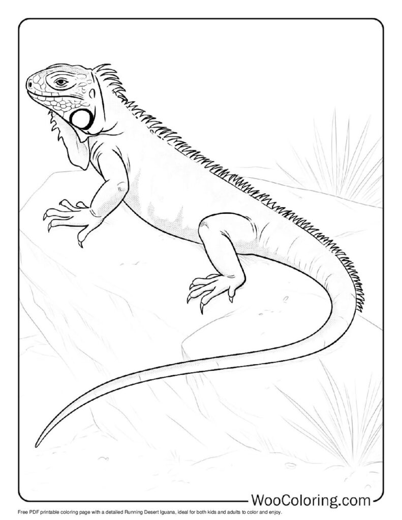 100 Iguana coloring pages Free PDF To Print - 58